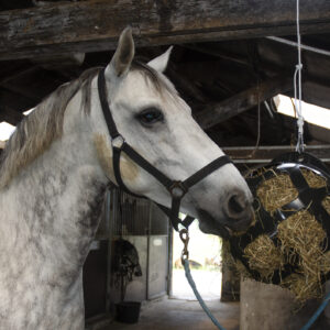 Hooi feeder dop voor HeuBoy