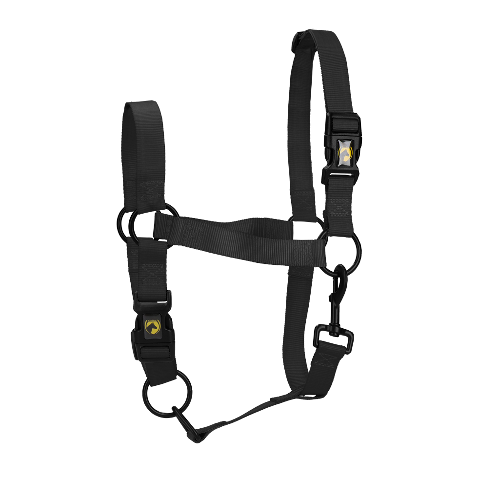 Excellent Horse Essential Halster M Pony Zwart
