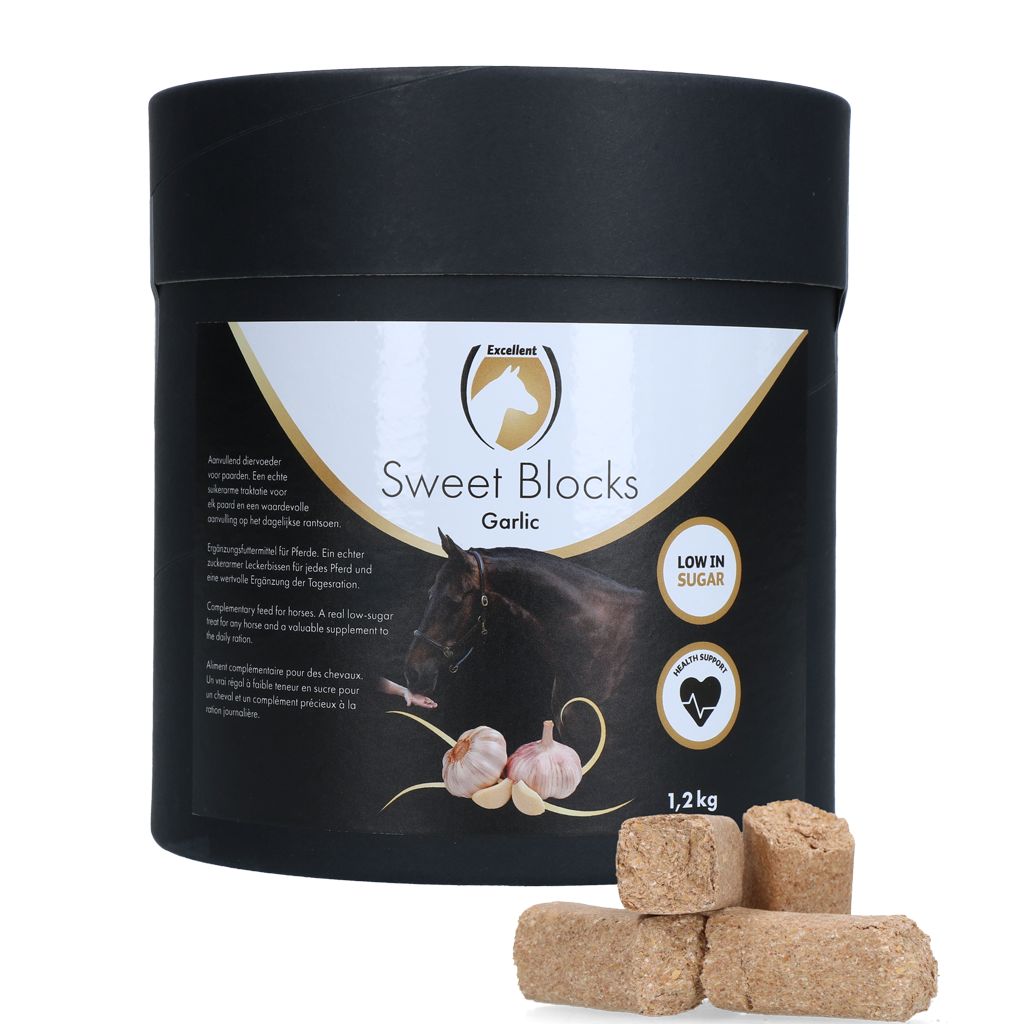 Sweet Garlic Blocks